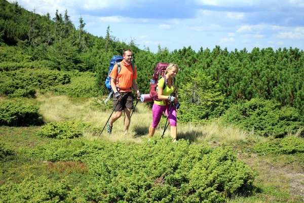 Zomerwandelingen in de bergen. — Stockfoto