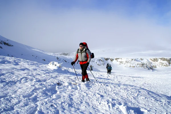 Caminata de invierno . — Foto de Stock