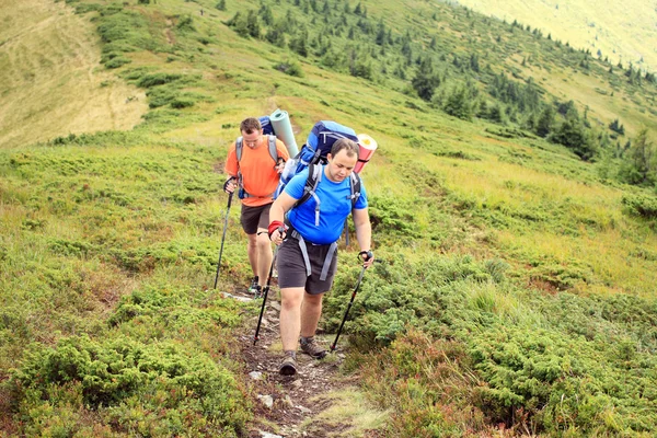 Sommerwandern in den Bergen. — Stockfoto