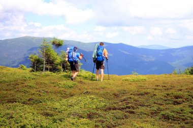 Yaz yürüyüşü dağlarda.