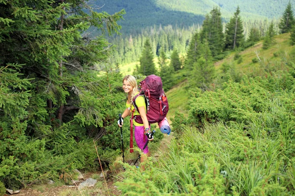 Escursioni estive in montagna. — Foto Stock