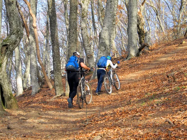 Ciclista no topo de uma colina — Fotografia de Stock