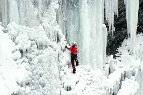 Ice climbing. Stock Image