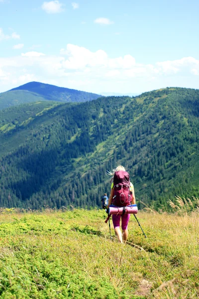 Summer hiking in the mountains. — Stock Photo, Image