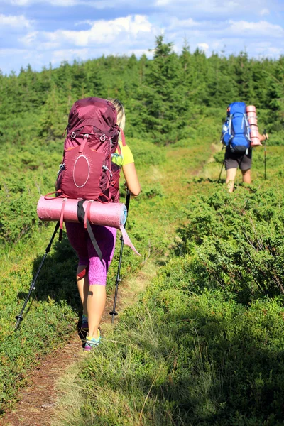 Sommar vandring i bergen. — Stockfoto