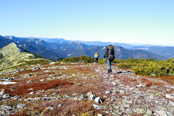 Escursione in montagna . — Foto Stock