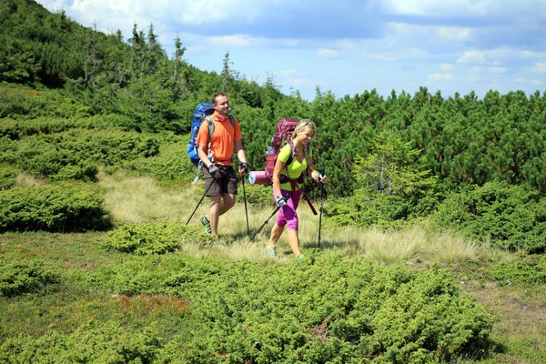 Escursione in montagna . — Foto Stock