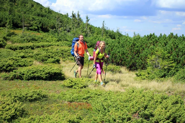 Zomerwandelingen in de bergen. — Stockfoto