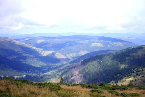 Montagne carpatiche, Ucraina . — Foto Stock