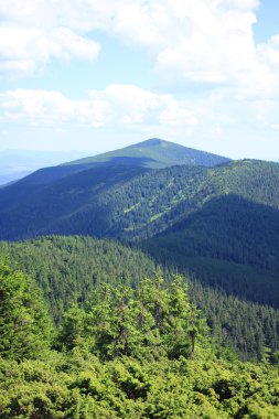Karpat Dağları, Ukrayna.