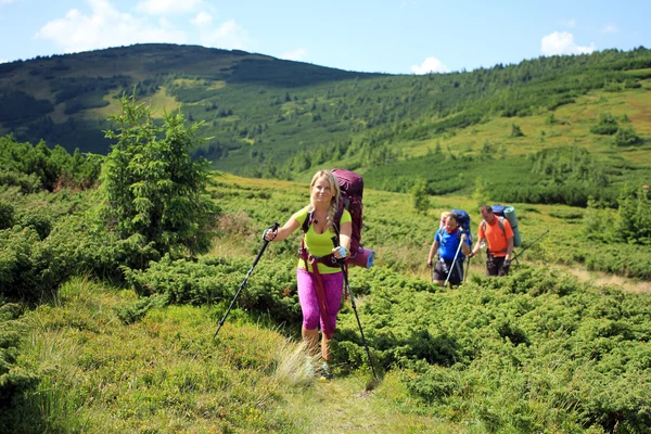 Summer trekking in the Carpathians. — Stock Photo, Image