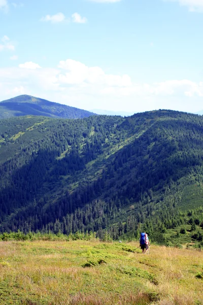 Sommerwandern in den Bergen. — Stockfoto