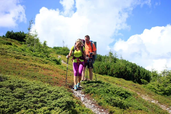 Escursioni estive in montagna. — Foto Stock