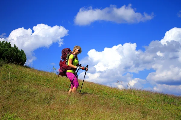 Escursioni estive in montagna. — Foto Stock