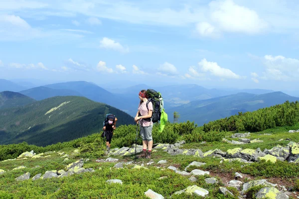 Zomerwandelingen in de bergen. — Stockfoto