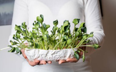 uygun beslenme, vegan, mikro yeşiller, evde yetişen mikro yeşillikler.