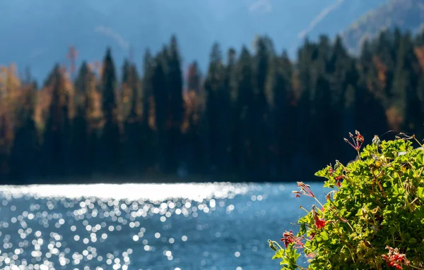 Mountain Lake Autumn Trees Mighty Mountains Sunlight — Stock Photo, Image