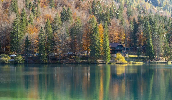 Mountain Lake Autumn Trees Mighty Mountains Sunlight — Stock Photo, Image
