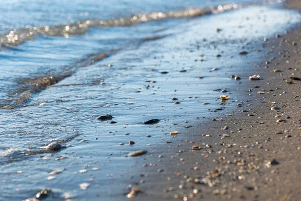 在透明的海水背景下 沙滩上点缀着小贝壳 — 图库照片