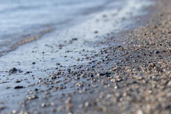 Playa Arena Salpicada Pequeñas Conchas Sobre Fondo Agua Mar Transparente — Foto de Stock