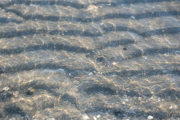 Vieiras Areia Sob Água Mar Transparente Praia — Fotografia de Stock