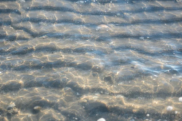 Vieiras Areia Sob Água Mar Transparente Praia — Fotografia de Stock