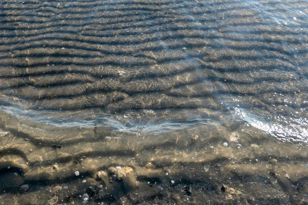砂浜の透明海の水の下の砂のホタテ — ストック写真