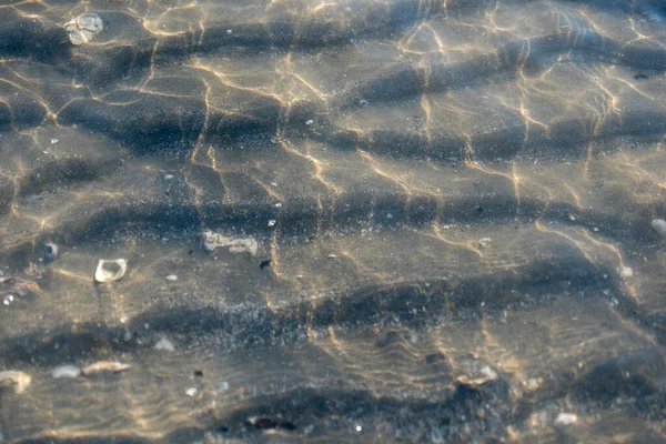 Jakobsmuscheln Aus Sand Unter Transparentem Meerwasser Strand — Stockfoto