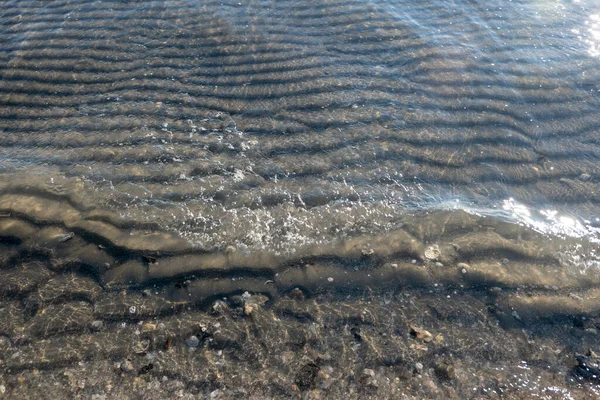 砂浜の透明海の水の下の砂のホタテ — ストック写真