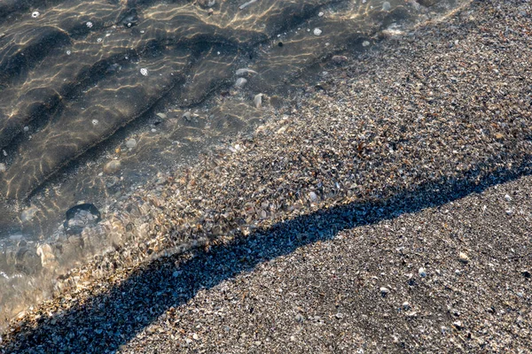 Kammusslor Sand Öppet Havsvatten Stranden — Stockfoto
