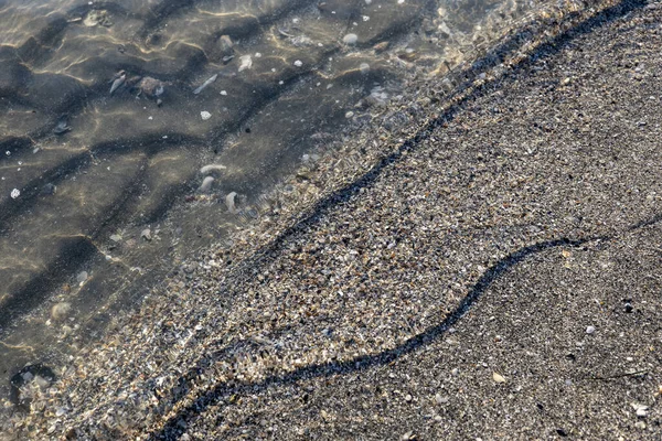 砂浜の透明海の水の下の砂のホタテ — ストック写真