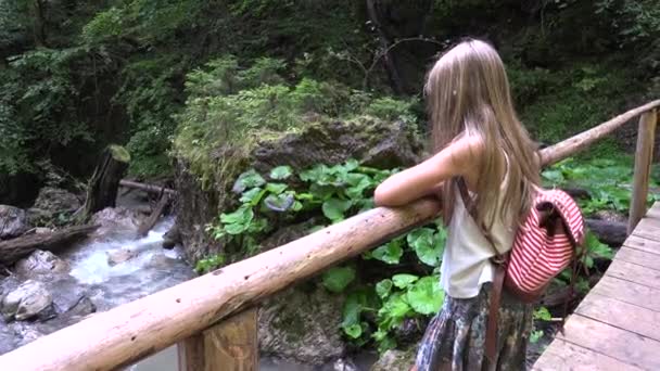 Ребенок на мосту в кемпинге в горах Тропы, ребенок Пешие прогулки в экскурсии, молодая блондинка глядя на реку, ручей в природе — стоковое видео