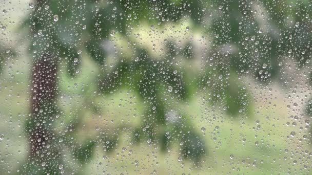 Pioggia, Gocce di pioggia sulla finestra, Pioggia torrenziale, grandine tempestosa, Giorno di pioggia estiva, grandine, Goccia di tempesta di ghiaccio su vetro, brutto tempo — Video Stock