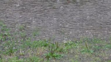 Şiddetli Yağmur, Su Baskını Doğal Felaket, Felaket, Düşen Yağmur, Fırtına, Yağmur, Fırtına, Kötü Hava, Küresel Isınma