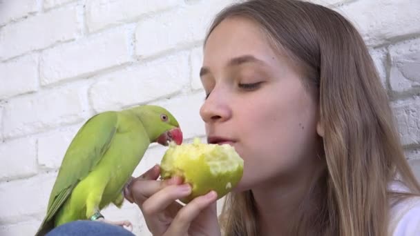 Child Talk Parrot, Happy Kid Playing her Pet, Girl, Bird Eating Apple  Fruit, Funny Indian Ring-Necked Parakeet Birds Cage Family — Stock Video ©  ArtZone #535077640