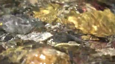 Dağ Nehri, Temiz Bahar Taze Suyu, Şeffaf Alp Akımı Dalgaları, Kristal Nehir Kapanması, Kristal Şelale Damlaları