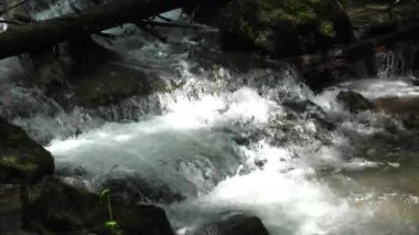 Dağ Nehri, Kristal Şelale Damlaları, Temiz Bahar Taze Suyu, Şeffaf Alp Akımı Dalgaları, Kristal Brook Kapanması