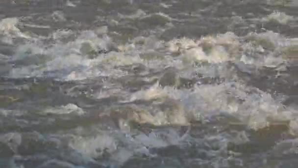 Río Muddy después de un día de tormenta en las montañas, arroyo en el día de lluvia, arroyo de primavera, piedras, rocas, vista de la naturaleza, Calamidad de inundación — Vídeo de stock