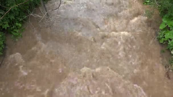 Überschwemmung, Naturkatastrophen, Katastrophe, Fluss in den Bergen, Schlammbach stürmischer Regen, Bach sintflutartiger Regen, globale Erwärmung — Stockvideo