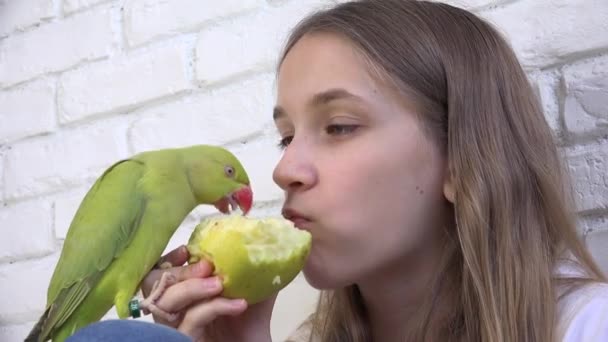 Criança conversa papagaio, criança feliz jogando seu animal de estimação, menina, pássaro comendo frutas de maçã, engraçado indiano anel de pescoço periquito pássaros gaiola família — Vídeo de Stock