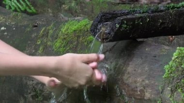 Nehir suyunda ellerini yıkayan kız, İlkbahar Şelalesinde Oynayan Çocuk, Dağlarda Kamp yapan Çocuk Yürüyüşü, Trip, Gezinti