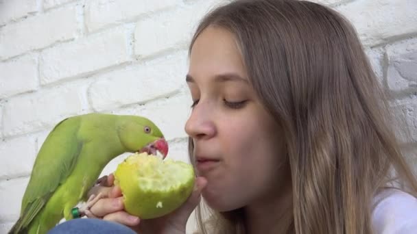 Dziewczyna mówić papuga, szczęśliwy dzieciak gra jej zwierzaka, dziecko, ptak zjada owoce jabłka, śmieszne indyjski pierścień szyi papuga ptaków klatka rodzina — Wideo stockowe