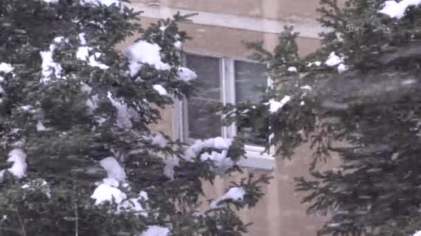 Havazás az ablakon, hóvihar téli jelenet a városban, hóvihar kilátás a városban — Stock videók