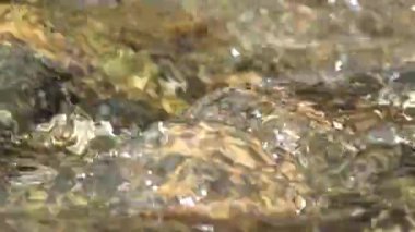 Dağ Nehri, Kristal Şelale Damlaları, Temiz Bahar Taze Suyu, Şeffaf Alp Akımı Dalgaları, Kristal Brook Kapanması
