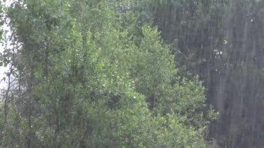 Şiddetli Yağmur, Su Baskını Doğal Felaket, Felaket, Düşen Yağmur, Fırtına, Yağmur, Fırtına, Kötü Hava, Küresel Isınma