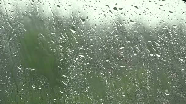 Regen, Regendruppels op het raam, Zomerstortregen, Hailstone Stormy, Slecht weer Regendag, Hagel Ice Storm op glas — Stockvideo