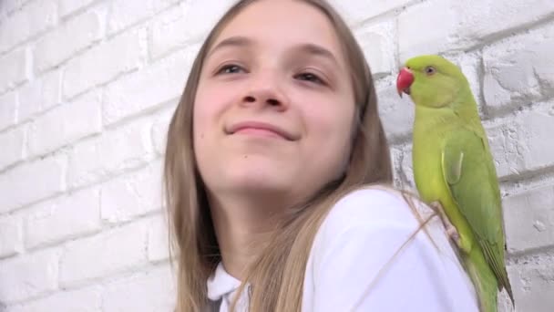 Flicka prata papegoja, lycklig unge spelar hennes husdjur, barn kyss fågel, rolig indisk ring spetsade parakit fåglar bur familj — Stockvideo
