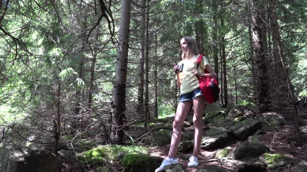 Enfant utilisant des jumelles dans la forêt des montagnes, Randonnée pour enfants au camping, Sentiers alpins en bois, Fille voyageant en voyage d'aventure — Video