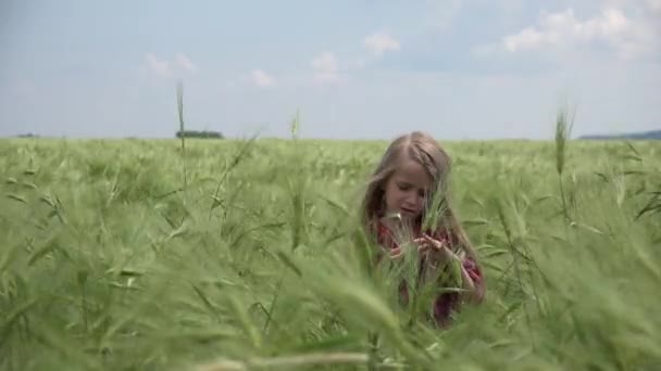 Дети Играют Пшеницу Дети Сельском Хозяйстве Сельская Девушка Играет Открытом — стоковое видео