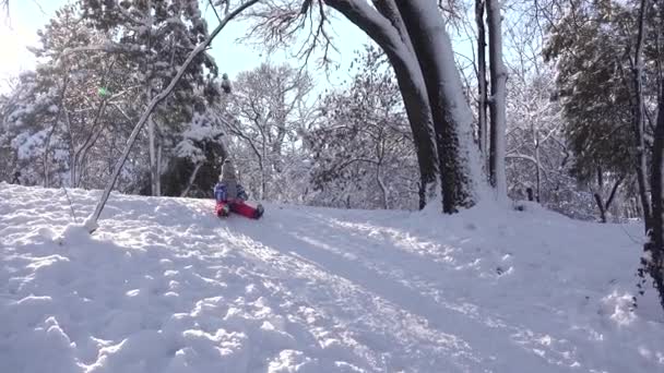 Kid Sledding Snow Child Playing Winter Park Girl Sledding Ski — Αρχείο Βίντεο